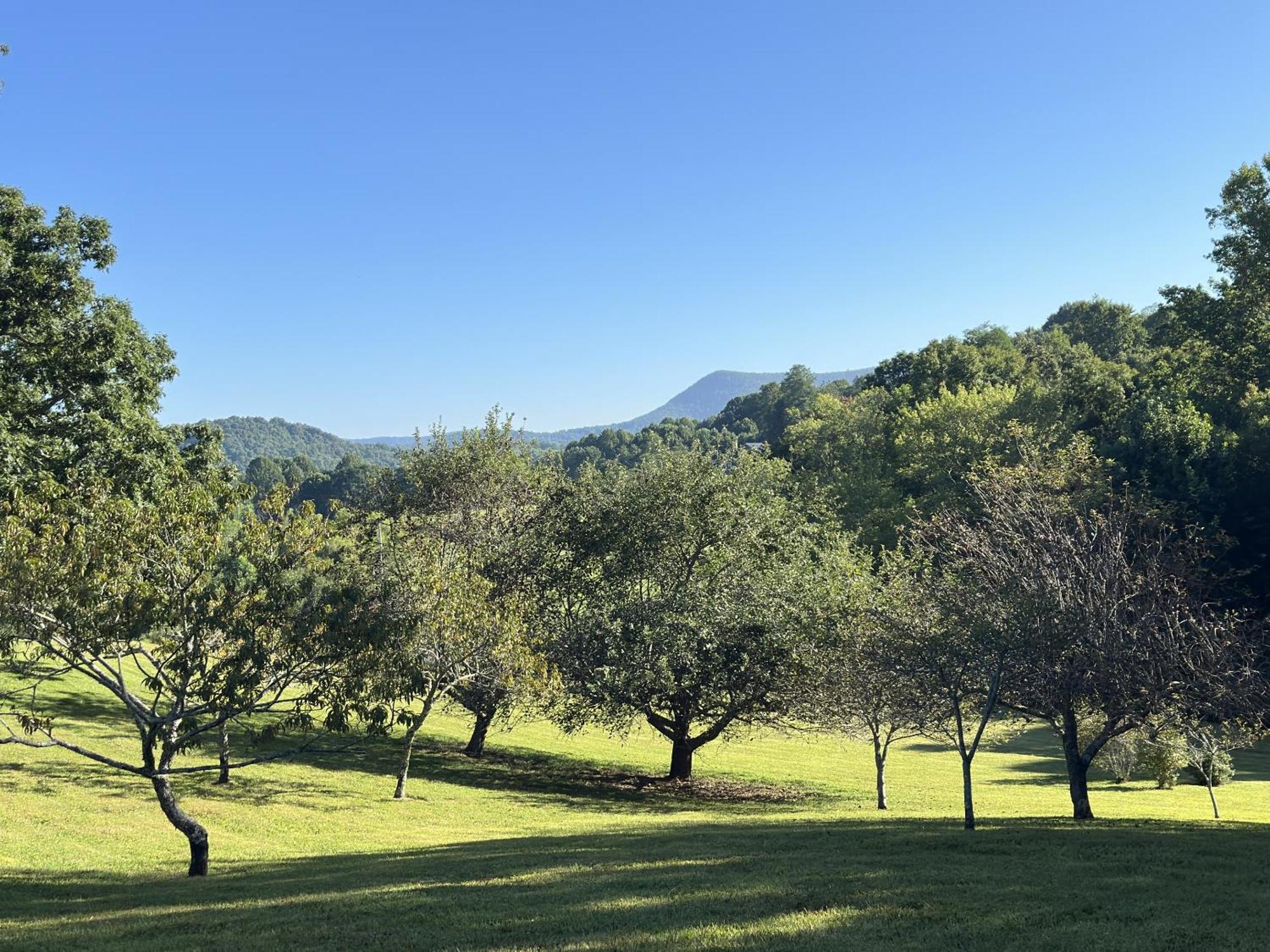 Fire Mountain Hotel Highlands Bagian luar foto